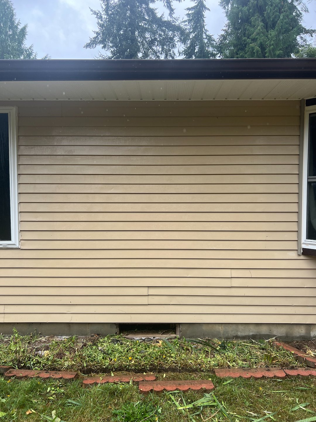 Huge Siding Transformation in Olympia, WA